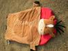 CJPT00020pluah sleeping bag